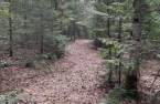 Terre/Terrain