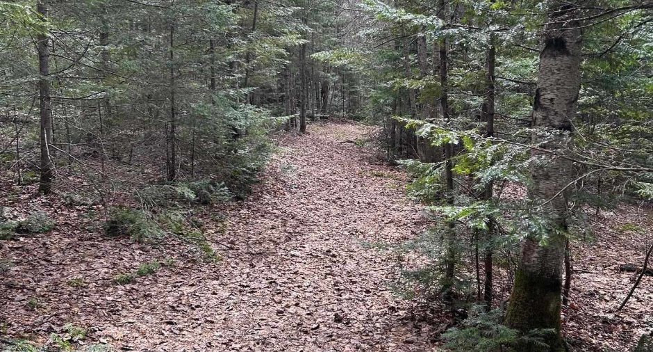 Terre/Terrain