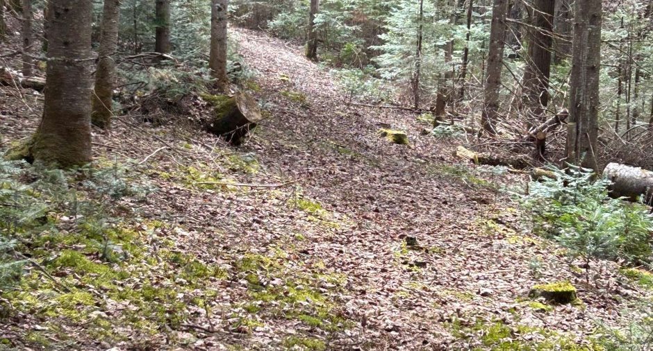 Terre/Terrain