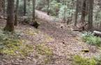 Terre/Terrain