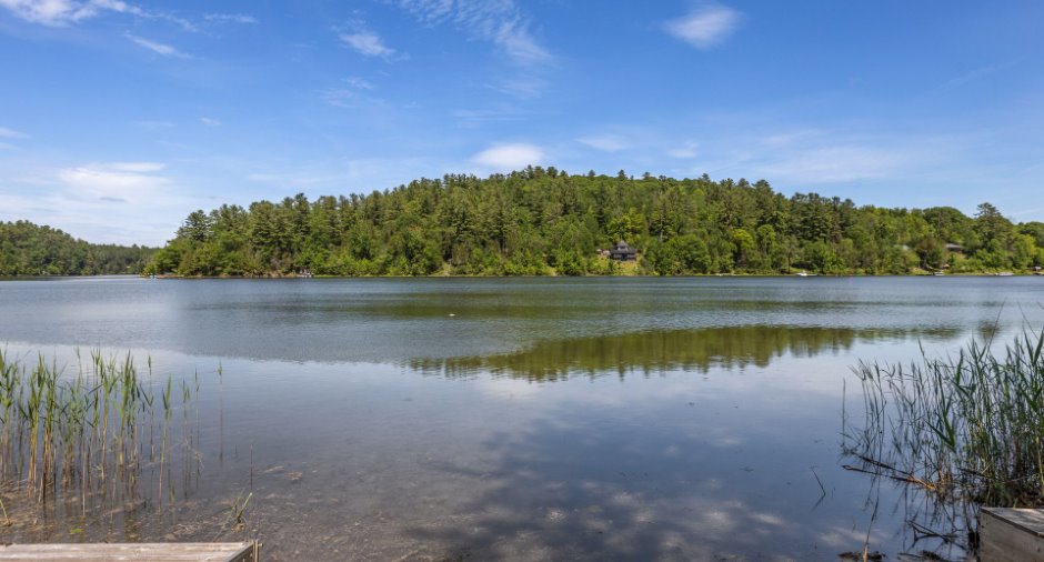 Bord de l'eau
