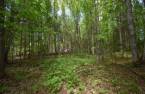 Terre/Terrain