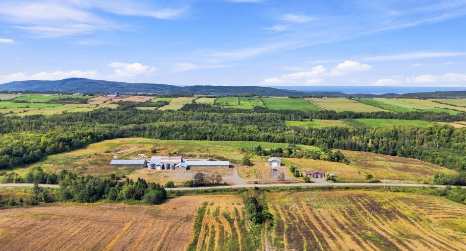 Vue d'ensemble