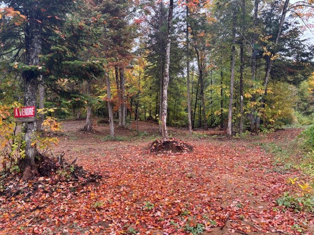 Mtée Thibodeau — photo 2