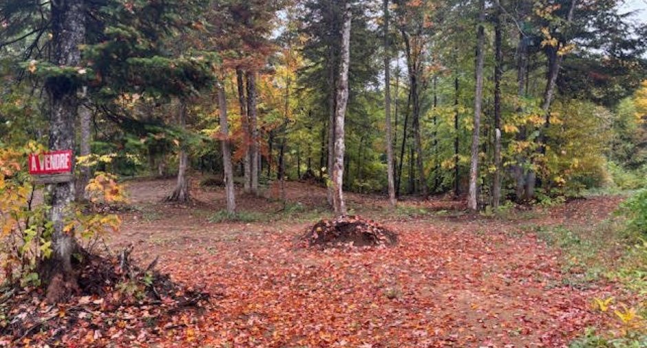 Terre/Terrain