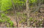Terre/Terrain