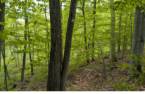 Terre/Terrain