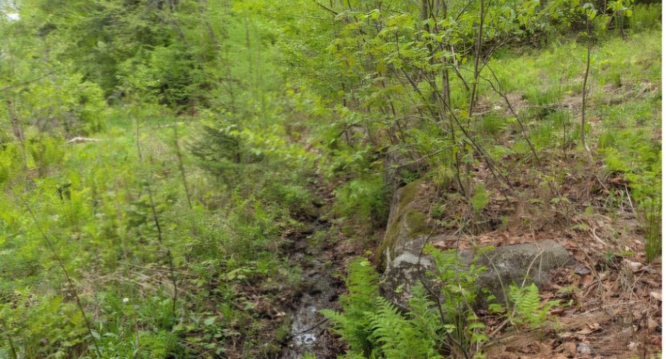 Terre/Terrain