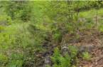 Terre/Terrain