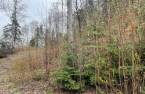 Land/Lot