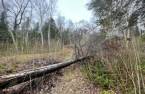 Land/Lot