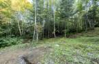 Terre/Terrain