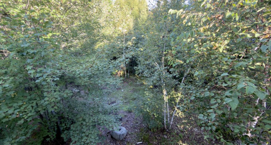 Terre/Terrain