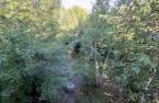 Terre/Terrain