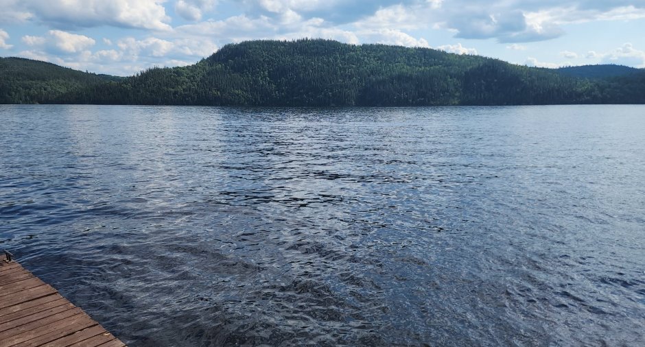 Bord de l'eau