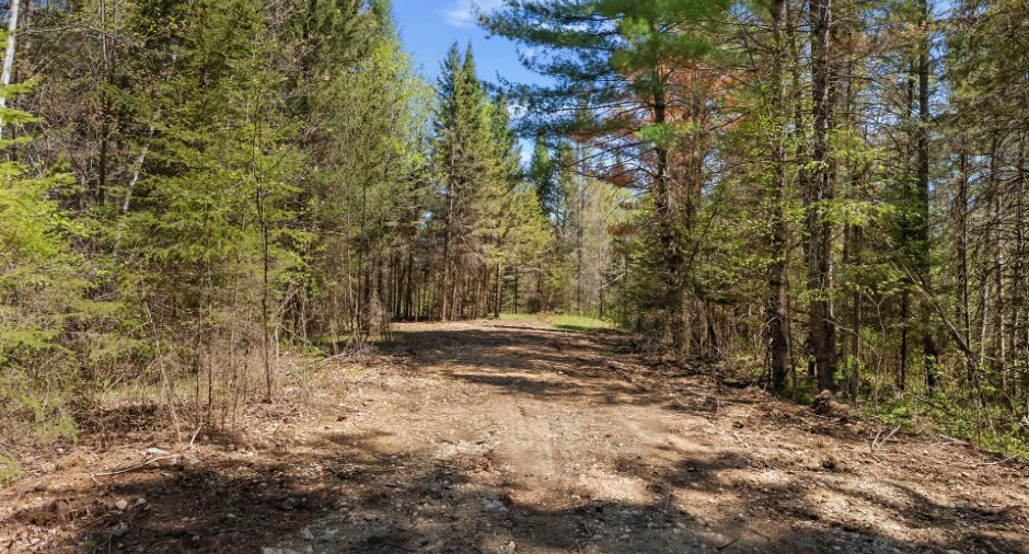 Land/Lot