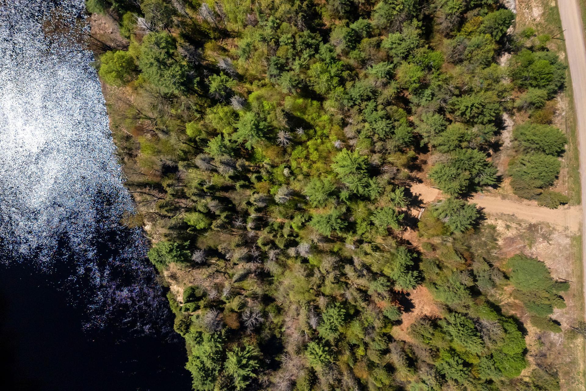 Prom. du Parc-des-Chutes — photo 3