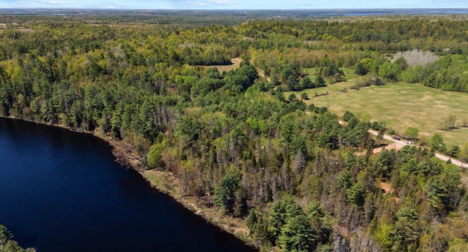 Aerial photo