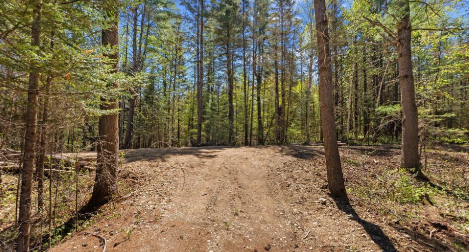 Land/Lot