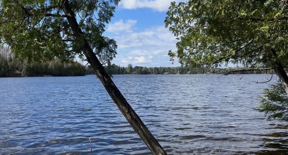 Bord de l'eau