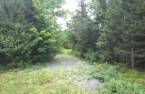 Terre/Terrain