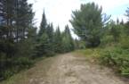 Terre/Terrain