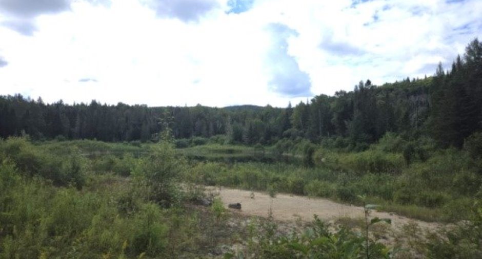 Terre/Terrain