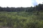 Terre/Terrain