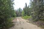 Terre/Terrain