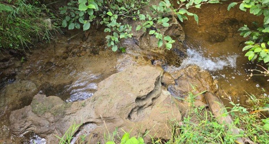 Vue sur l'eau