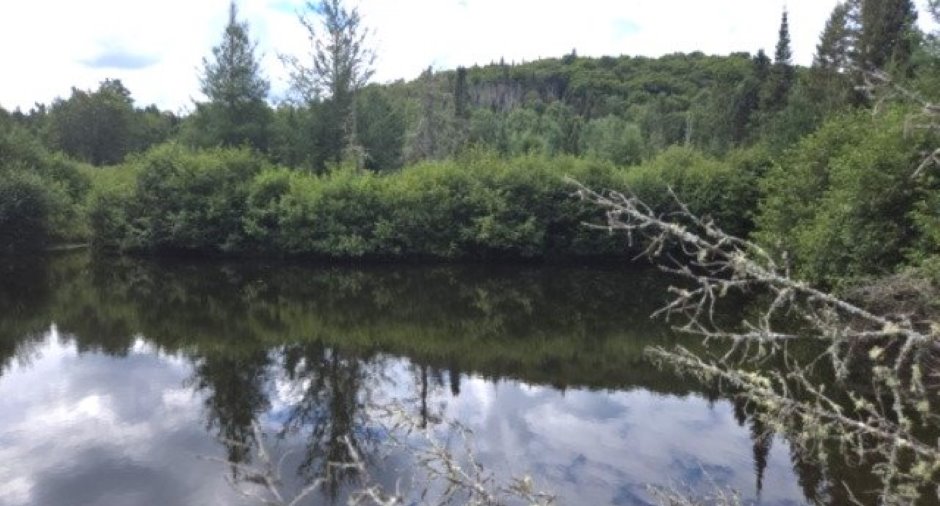 Vue sur l'eau