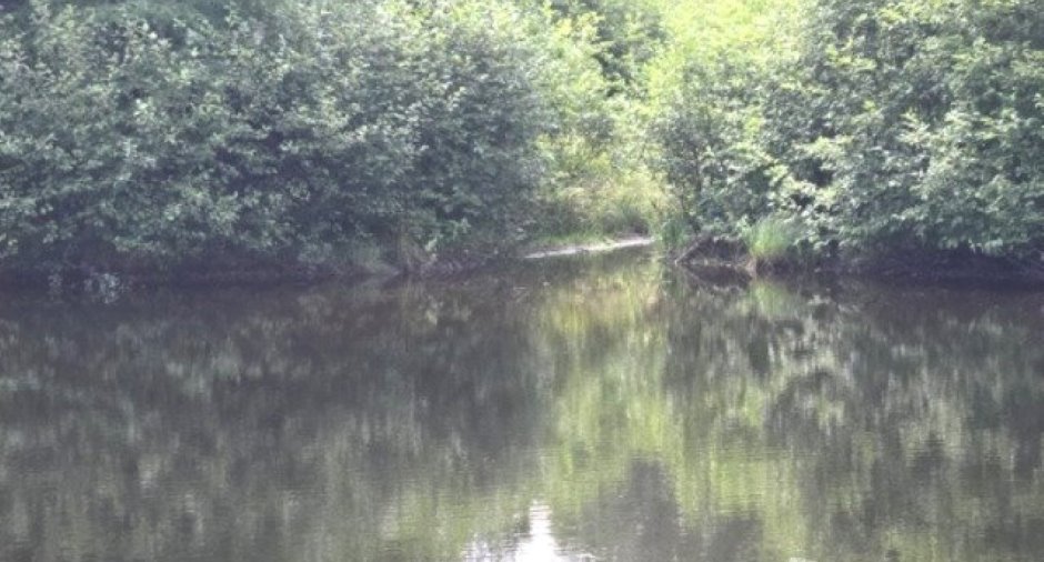 Vue sur l'eau