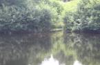 Vue sur l'eau