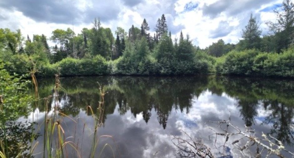 Vue sur l'eau