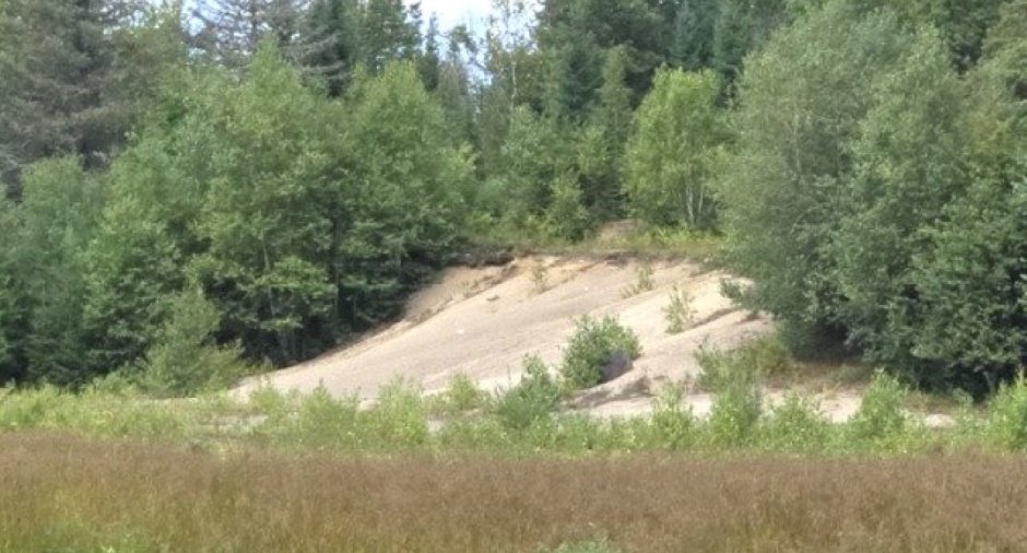 Terre/Terrain