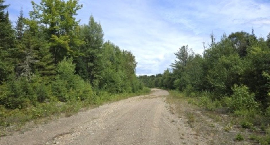 Terre/Terrain