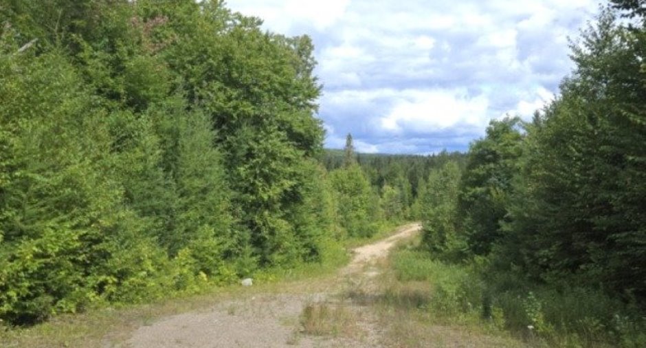 Terre/Terrain