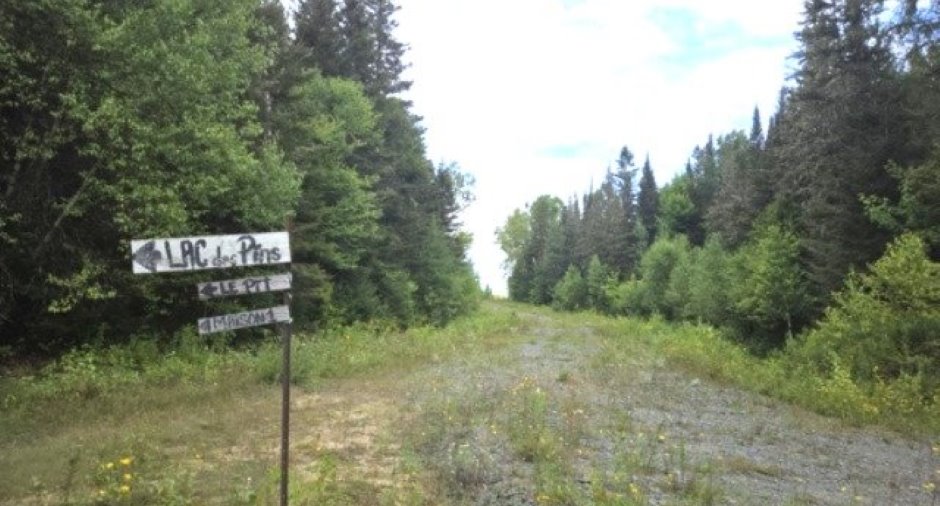 Terre/Terrain