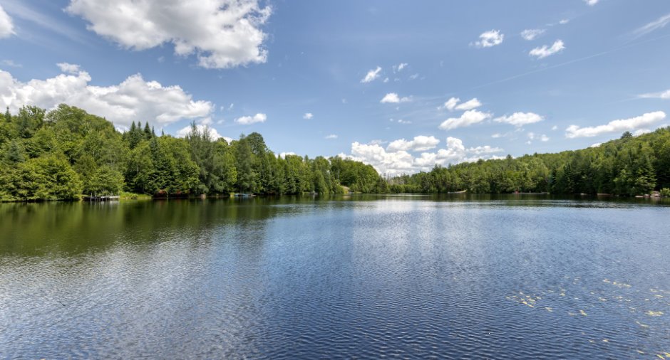 Vue sur l'eau