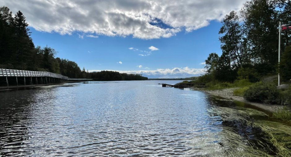 Bord de l'eau