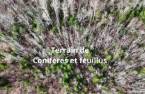 Terre/Terrain