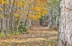 Terre/Terrain