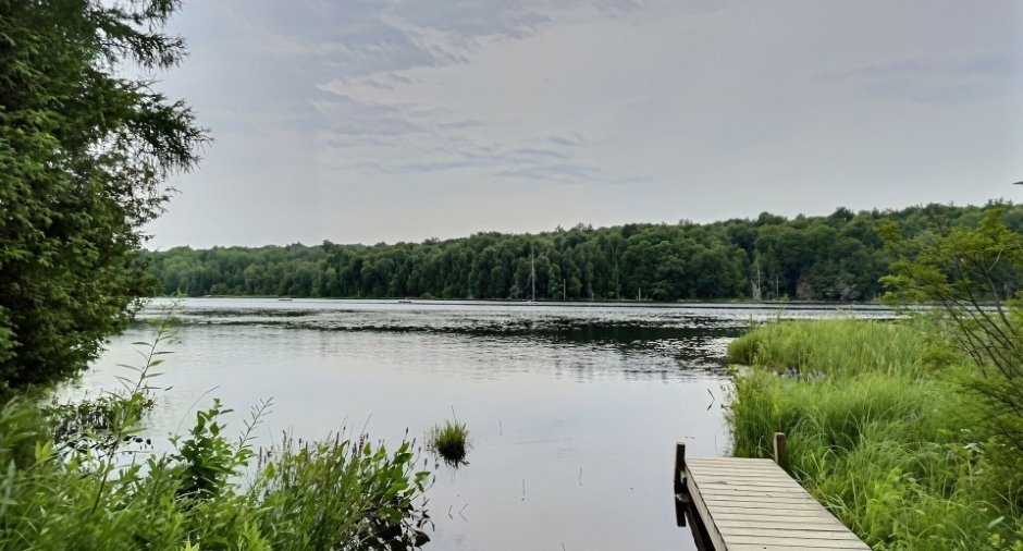 Accès au plan d'eau