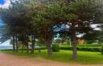Cour