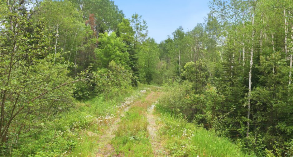 Terre/Terrain