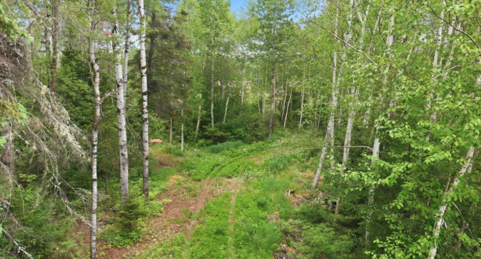 Terre/Terrain
