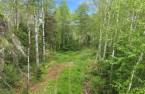 Terre/Terrain