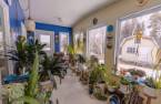 Solarium/Verrière