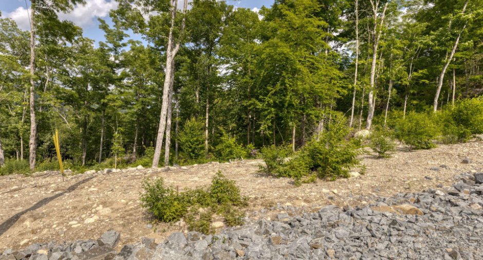 Land/Lot
