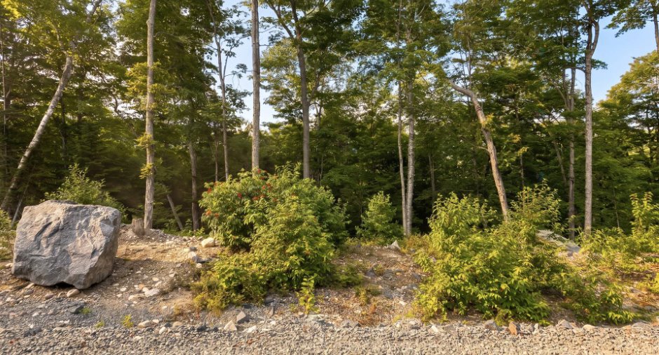 Land/Lot